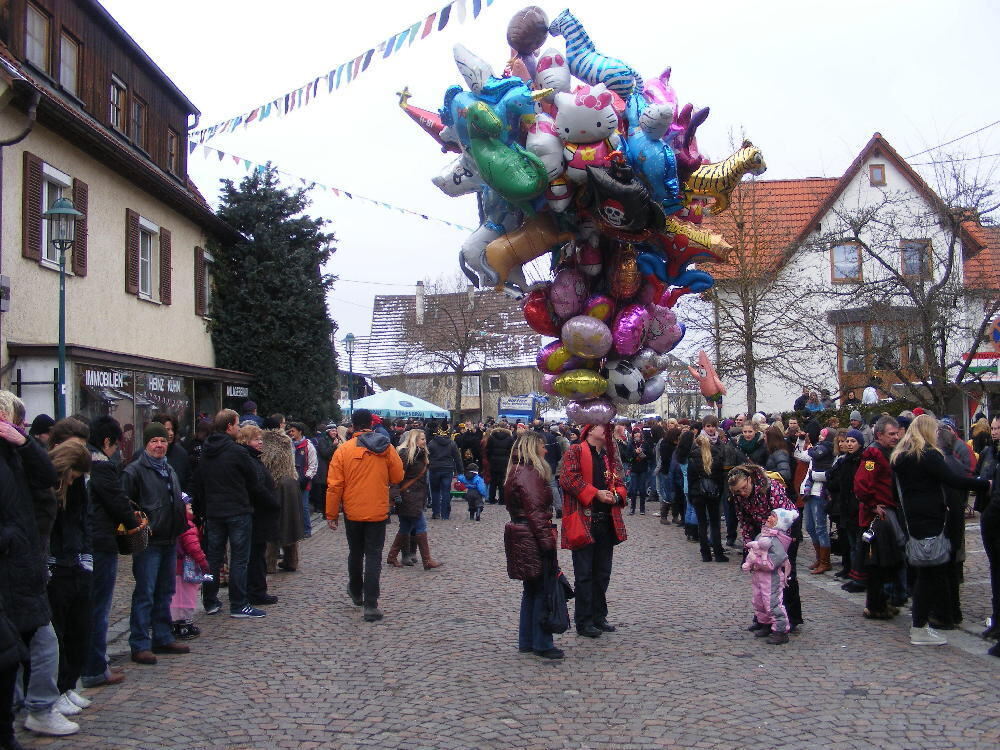 Narrenumzug Wannweil 23. Januar 2011