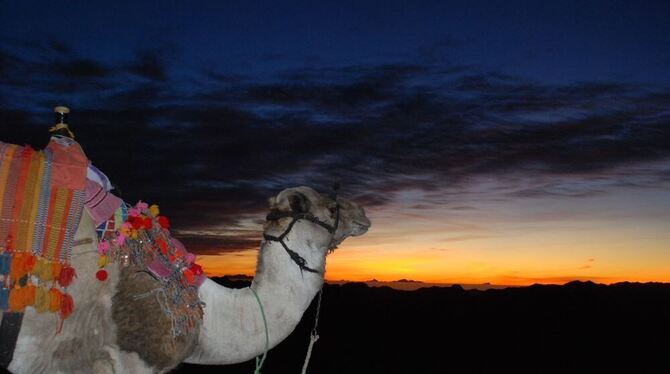 Sonnenaufgang am Mosesberg auf dem Sinai.