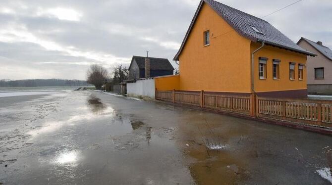 Neben Einfamilienhäusern im brandenburgischen Manschnow steht das Binnenhochwasser mehr als 30 Zentimeter hoch auf einer Acke