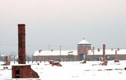 Der Haupteingang des ehemaligen Lagers Auschwitz-Birkenau. (Archivbild aus dem Jahr 2010)