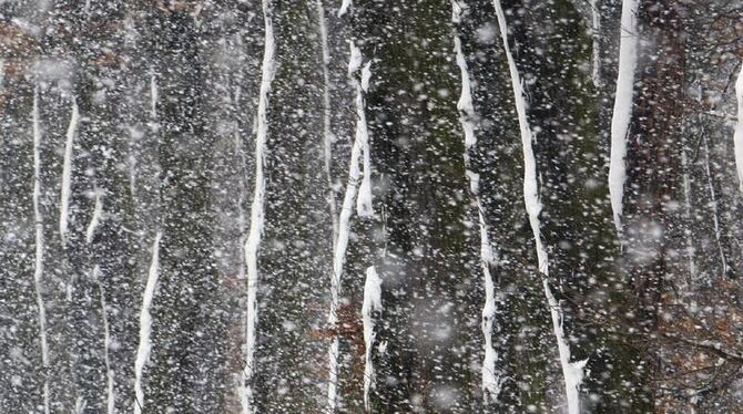 Dichtes Schneetreiben im Wald (Symbolbild). In Norwegen sind mehrere Skiwanderer erfroren.