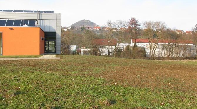 Hier hinter der neuen Sporthalle, auf dem Abhang zum Arbach, soll einmal das neue TSV-Heim stehen.  GEA-FOTO: BARAL