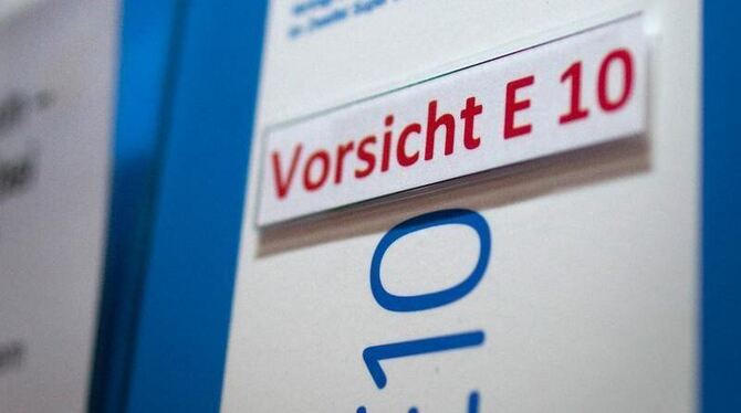 »Vorsicht E10« ist an einer Zapfsäule in Berlin angeschrieben.