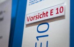 "Vorsicht E10" ist an einer Zapfsäule in Berlin angeschrieben.