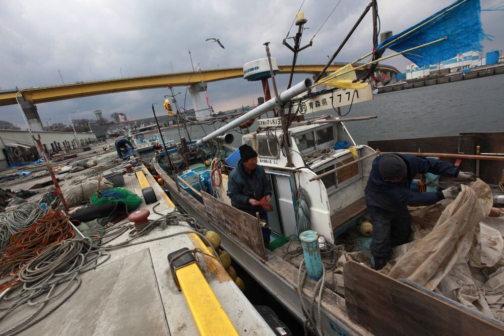 Erdbeben und Tsunami in Japan März 2011
