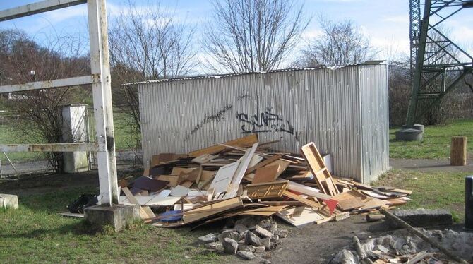 Die illegal abgeladenen Hozlabfälle. FOTO: PD