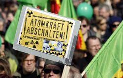 Mehrere tausend Menschen haben in ganz Deutschland für den sofortigen Ausstieg aus der Atomkraft demonstriert. FOTO: AP