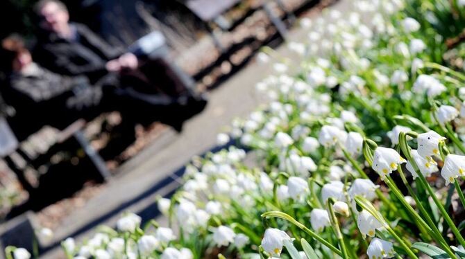 In der Sonne spazieren, auf einer Parkbank ausruhen und die Natur genießen, das war in den vergangenen Wochen schon öfter möglic In der Sonne spazieren, auf einer Parkbank ausruhen und die Natur genießen, das war in den vergangenen Wochen schon öfter möglic
