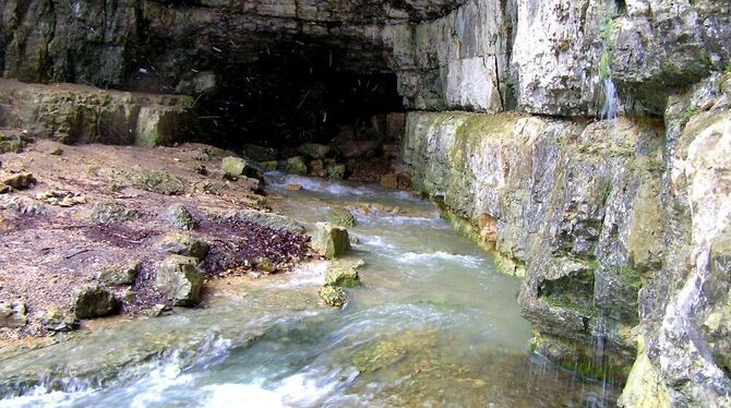 Das Karstwasser der Falkensteiner Höhle bildet die Quelle der Elsach bei Grabenstetten.  FOTO: SCHMIDT-SCHEUB
