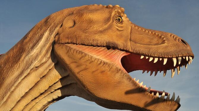 Giganten vor unserer Zeit 2011