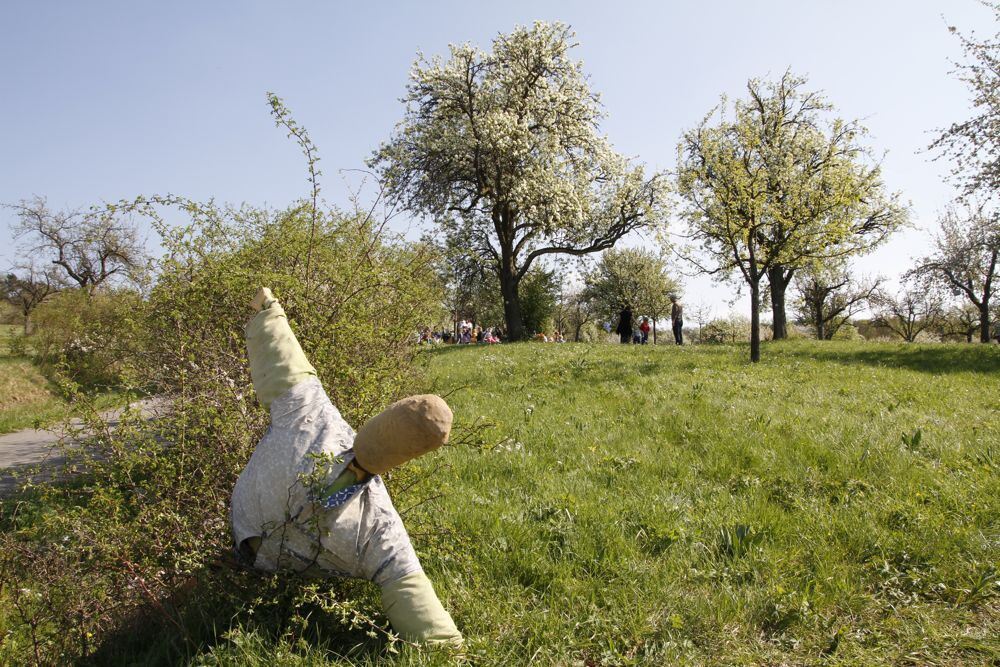 Kirschblütenfest Nehren 2011