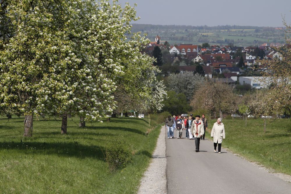 Kirschblütenfest Nehren 2011