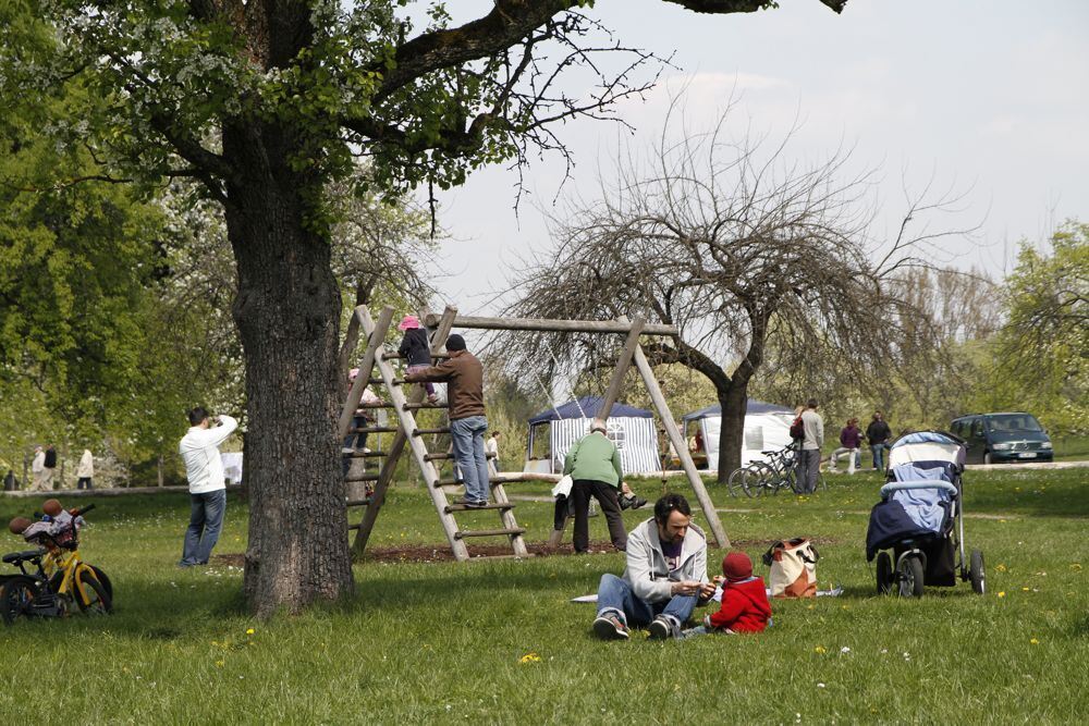 Kirschblütenfest Nehren 2011