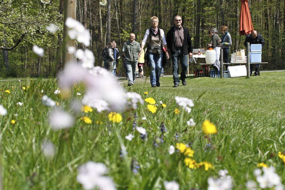 Kirschblütenfest Nehren 2011