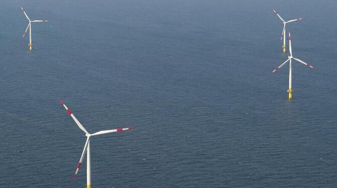 Baltic 1 ist der erste kommerzielle Windpark in der Ostsee vor der Halbinsel Fischland-Darß-Zingst.