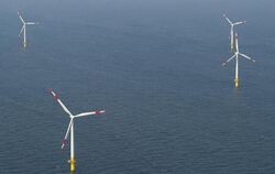 Baltic 1 ist der erste kommerzielle Windpark in der Ostsee vor der Halbinsel Fischland-Darß-Zingst.