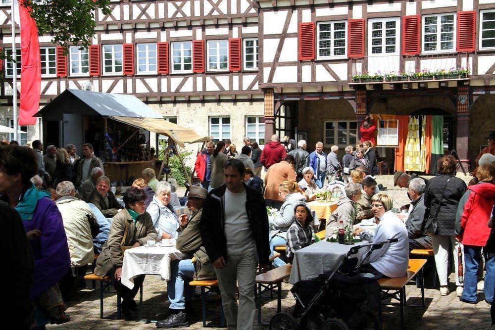 Erster Münsinger Schafauftrieb 2011