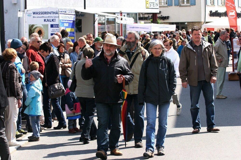 Erster Münsinger Schafauftrieb 2011