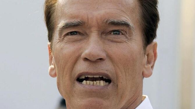 Arnold Schwarzenegger hat vor über zehn Jahren mit einer früheren Hausangestellten ein Kind gezeugt.