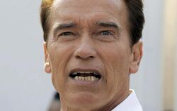 Arnold Schwarzenegger hat vor über zehn Jahren mit einer früheren Hausangestellten ein Kind gezeugt.