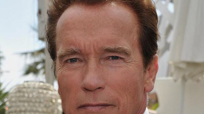 Arnold Schwarzenegger hat den Kopf nicht frei.