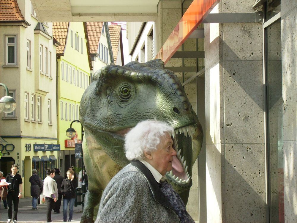 Beim Shoppen darf mein Haustier mit. Foto: Hezel-Herrmann