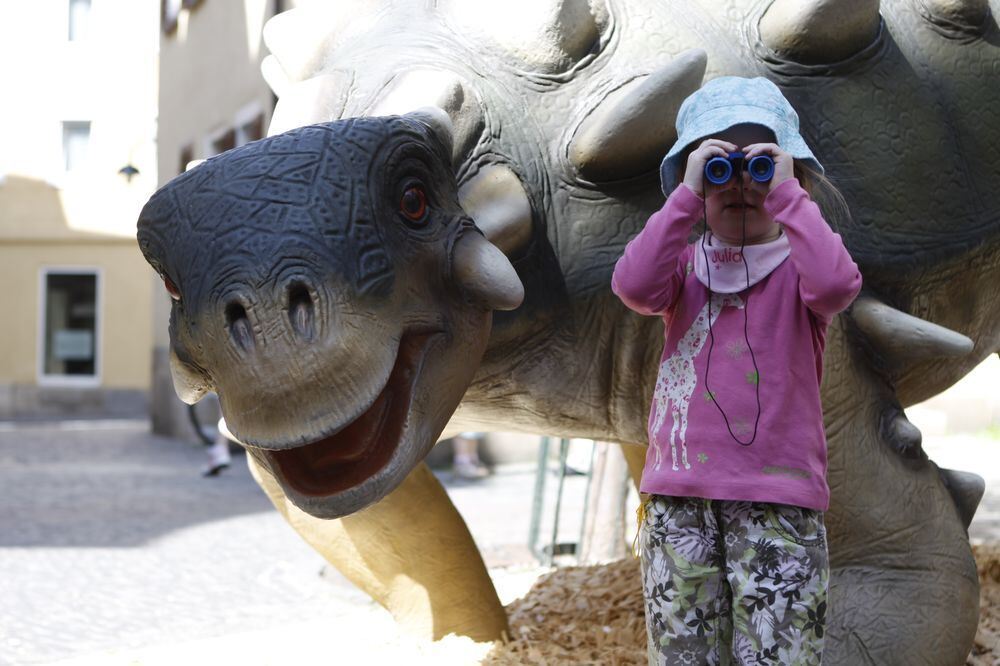 Ja wo ist denn nun der Saurier? Foto: Glöckner