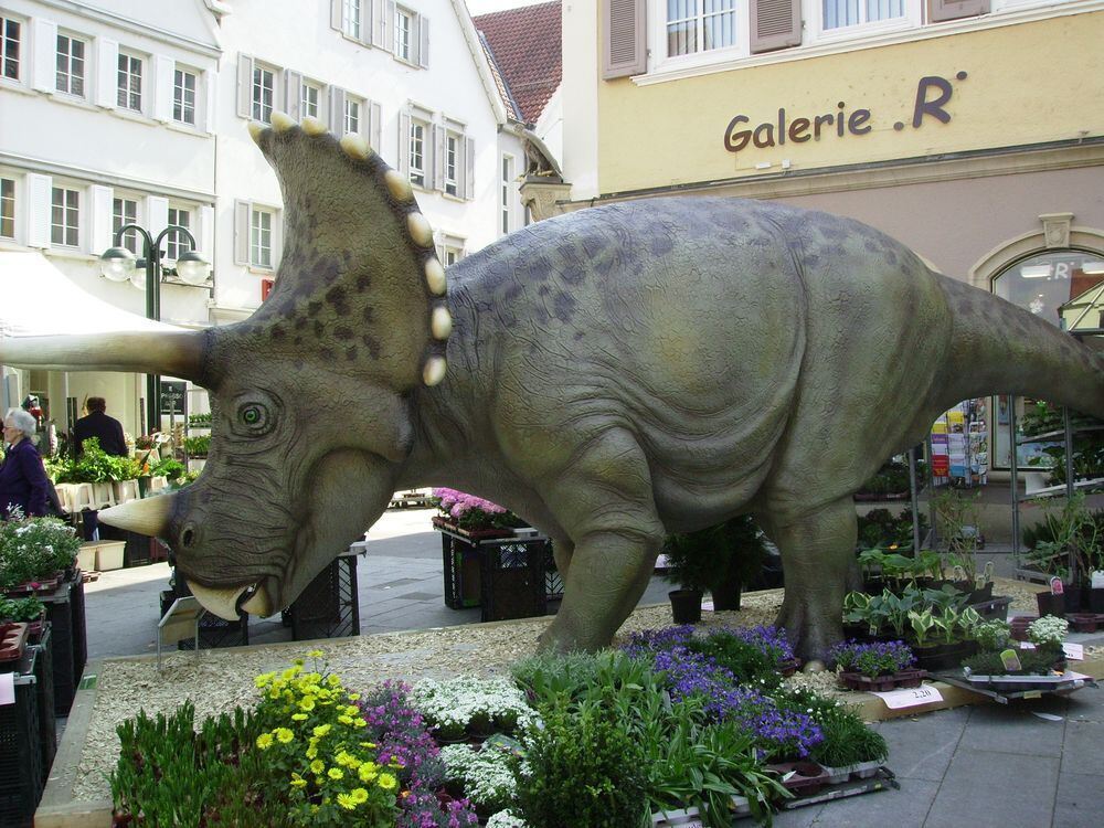 Mann, sooo leckeres Futter. Foto: H.G. Herrmann