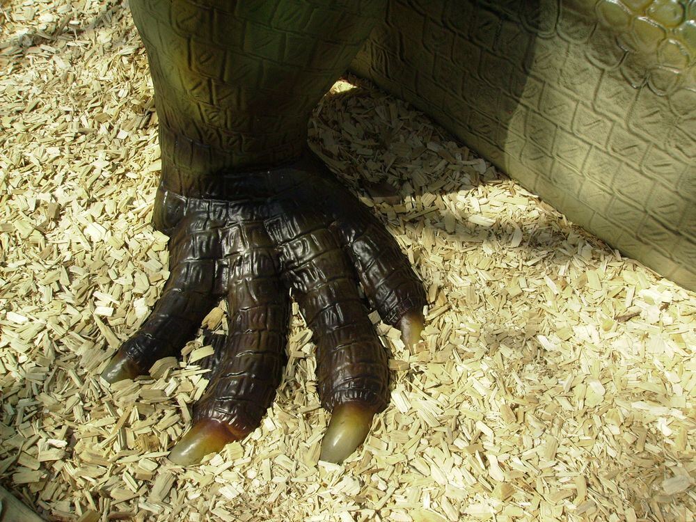 Frisch von der Maniküre -  man gönnt sich ja sonst nichts.. Foto: Salzer