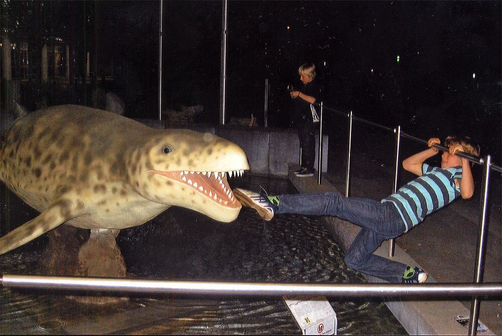 Jonas. Foto: Schorpp