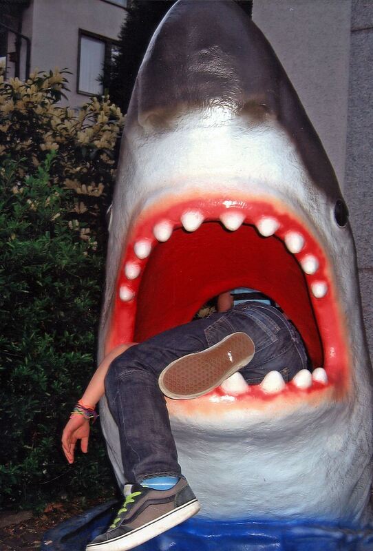 Jonas. Foto: Schorpp