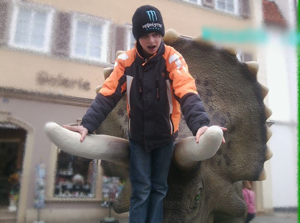 Laura hat ihre Freunde fotografiert. Foto: Laage