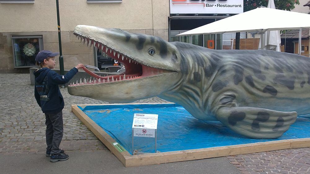 Liam Hipp. Foto: Vöhringer