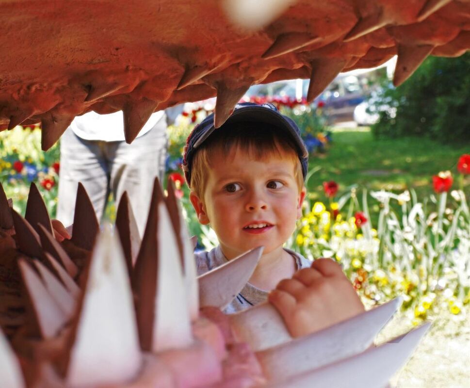 Henri. Foto: Heinlin