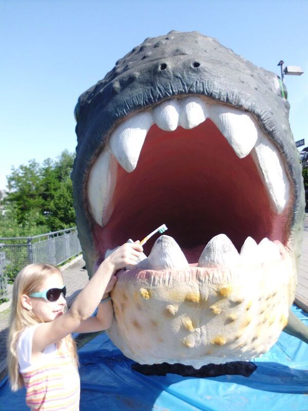 Da muss ich aber ganz schön schrubben…ich glaube da werde ich nie fertig. Foto: Haarer