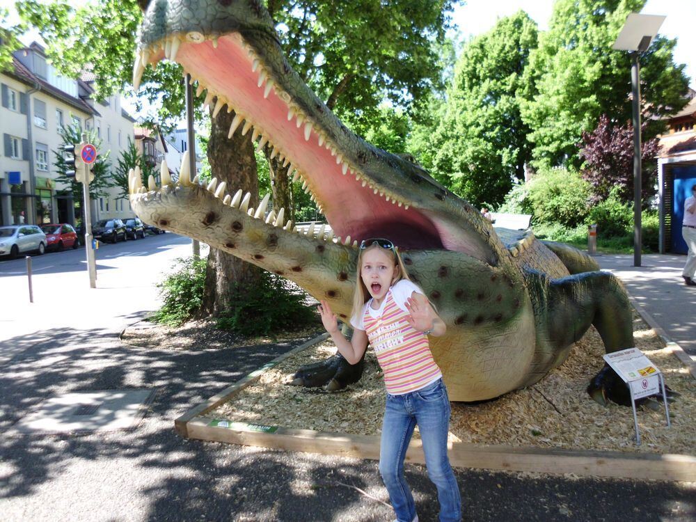 Von wegen der will bloß spielen. Foto: Haarer