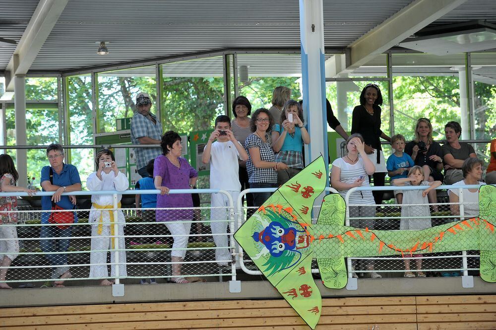 Fabian Hambüchen Drachenstark Mai 2011