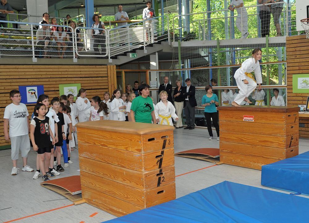 Fabian Hambüchen Drachenstark Mai 2011