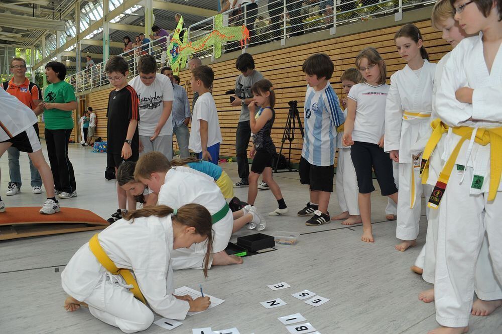 Fabian Hambüchen Drachenstark Mai 2011