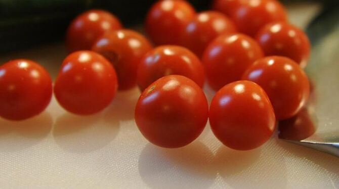 Frische Tomaten.