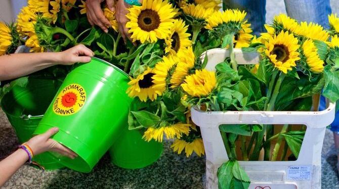 Atomkraft? Nein Danke: Sonnenblumen werden Delegierten beim Landesparteitag von Bündnis 90/Die Grünen am Freitag (17.06.2011)