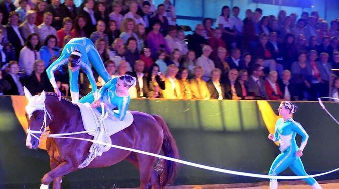 Wie im Märchen. Marbachs Voltigiergruppe zauberte mit ihrer akrobatischen Nummer zu Schwanenseeklängen einen Elfenreigen in die Wie im Märchen. Marbachs Voltigiergruppe zauberte mit ihrer akrobatischen Nummer zu Schwanenseeklängen einen Elfenreigen in die
