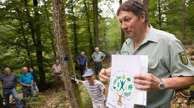 Revierleiter Jürgen Schneider zeigt das Logo zum internationalen Jahr des Baums. Der blau markierte Stamm neben ihm gehört einer