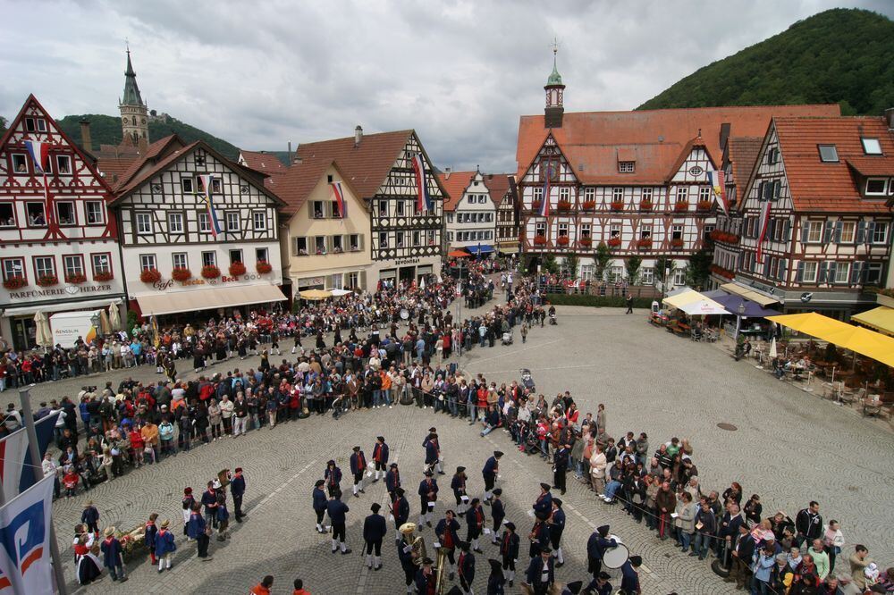 schaeferlauf_2011106 (jpg)