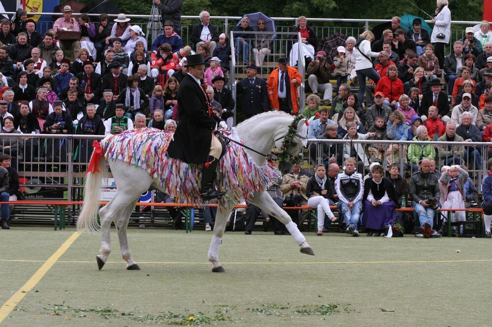 schaeferlauf_2011114 (jpg)