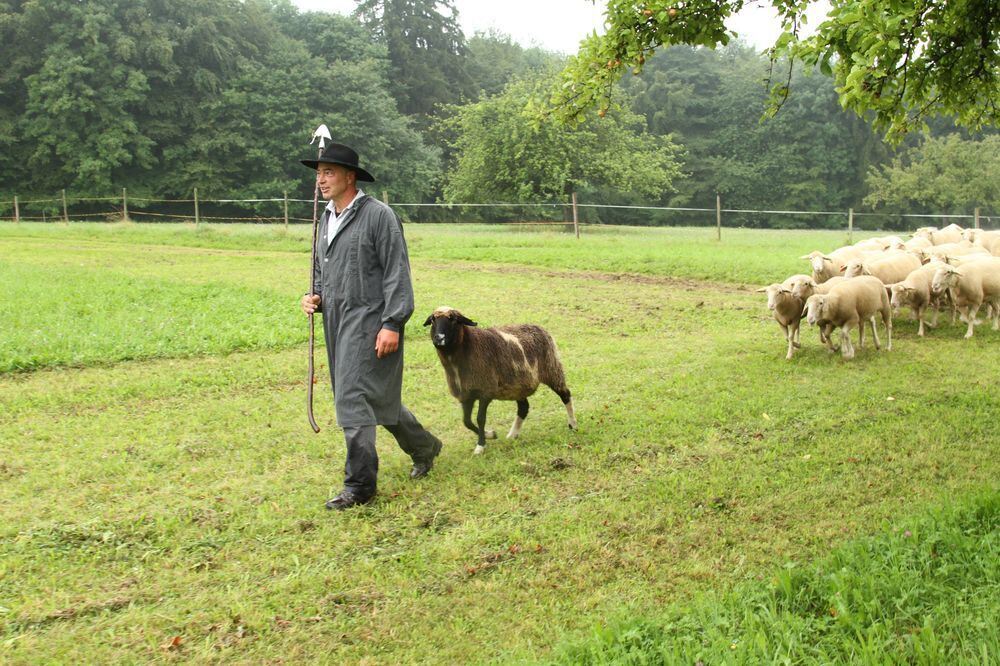 schaeferlauf_2011118 (jpg)
