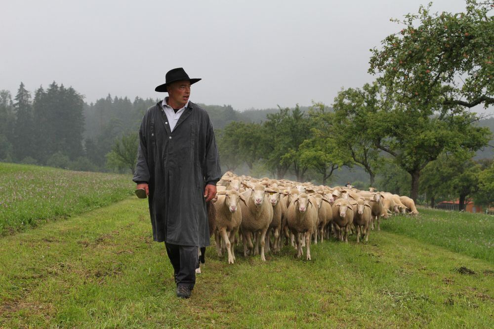 schaeferlauf_2011120 (jpg)