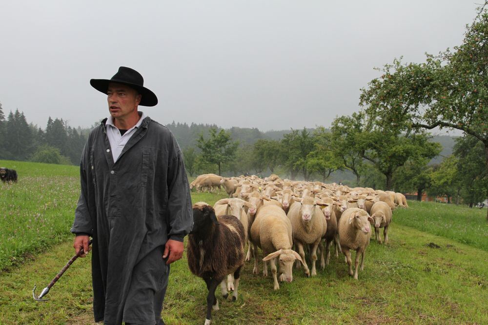 schaeferlauf_2011121 (jpg)