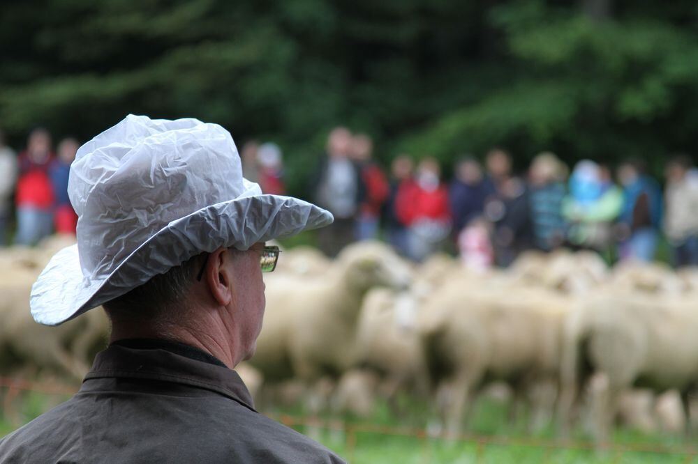 schaeferlauf_2011122 (jpg)