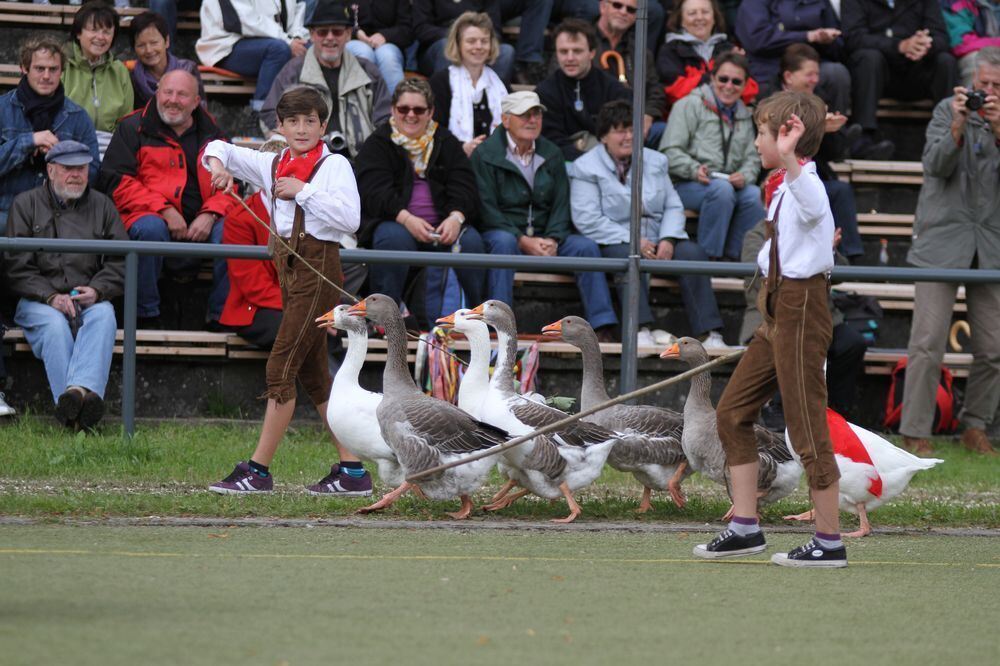 schaeferlauf_2011154 (jpg)